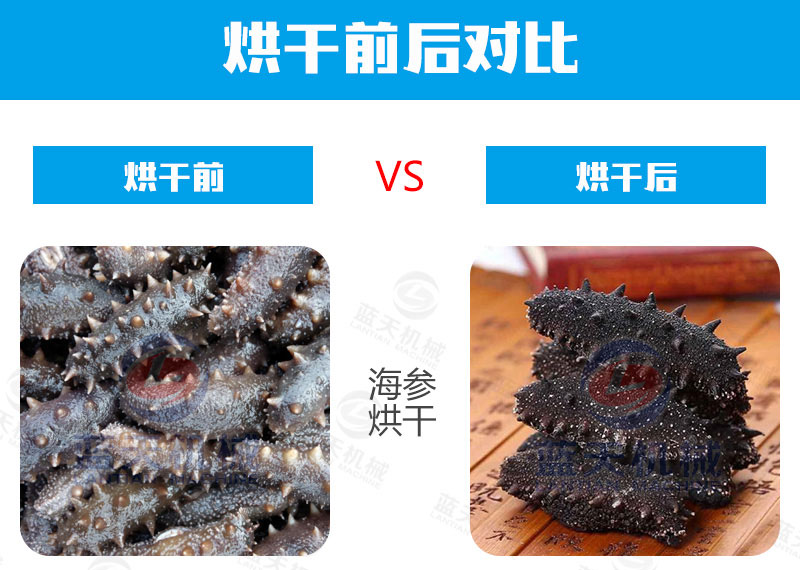 海鮮烘干機(jī)烘干前后對比