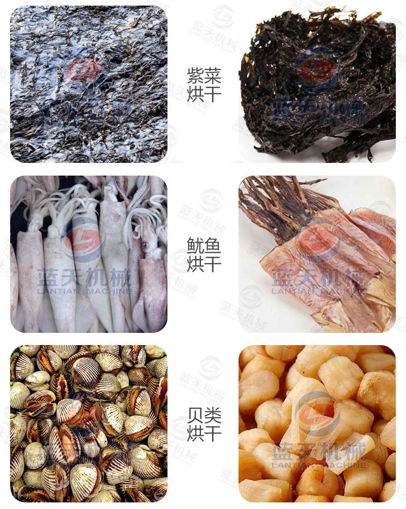 海鮮烘干機(jī)烘干前后對比