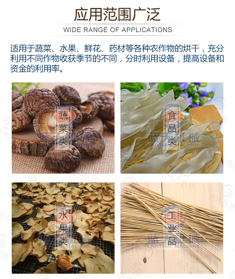 木耳網(wǎng)帶烘干機應(yīng)用范圍廣泛