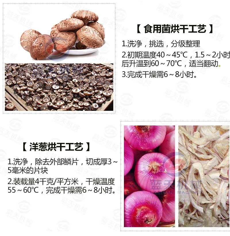 木耳網(wǎng)帶烘干機常見蔬菜烘干工藝