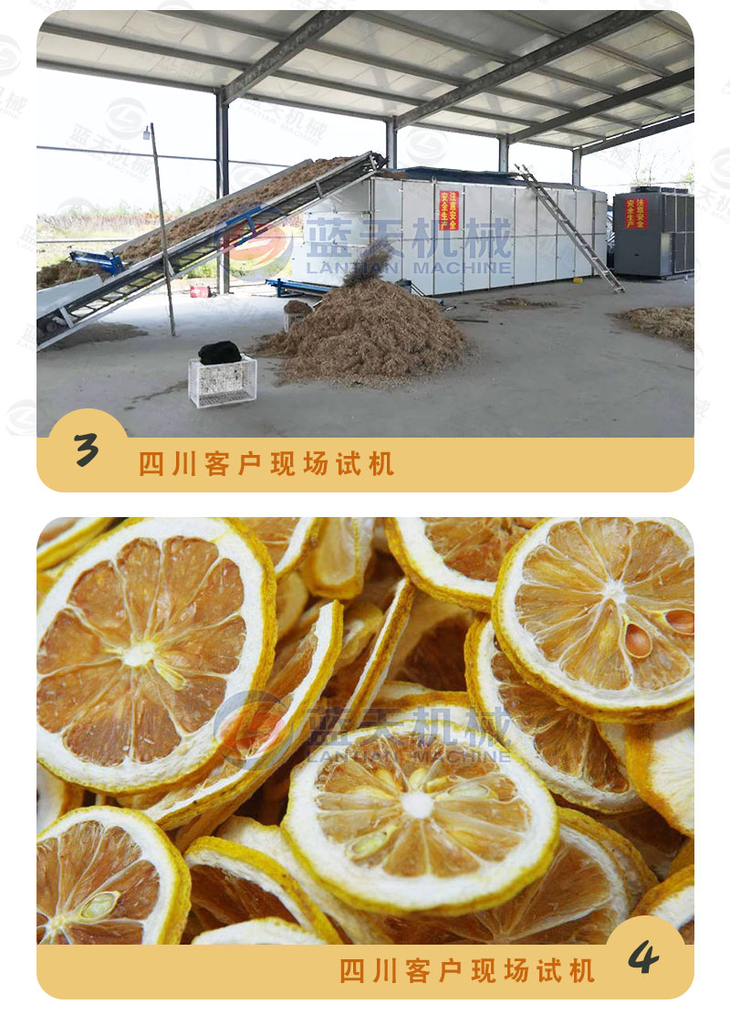 檸檬片網(wǎng)帶烘干機(jī)試機(jī)現(xiàn)場